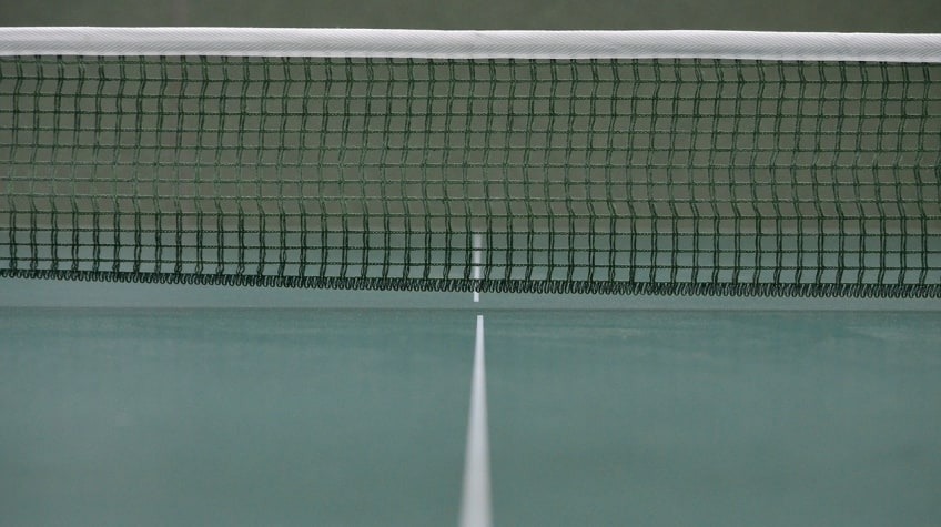 A Net Is One Of The Basic Items Needed To Play Table Tennis