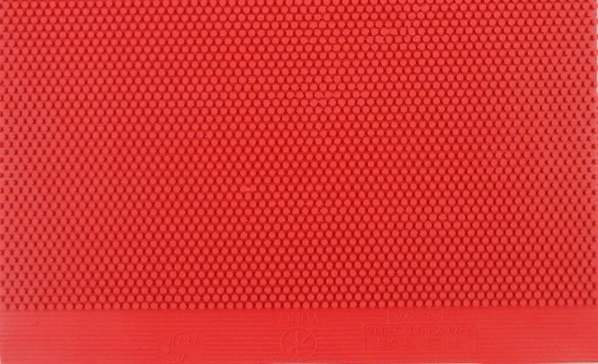 Ping Pong Paddle Rubber Pimples Close Up