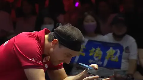 Timo Boll Player Profile